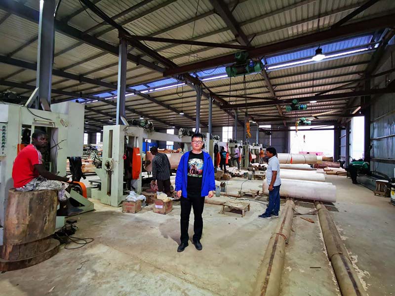 Okume face veneer factory established in Gabon