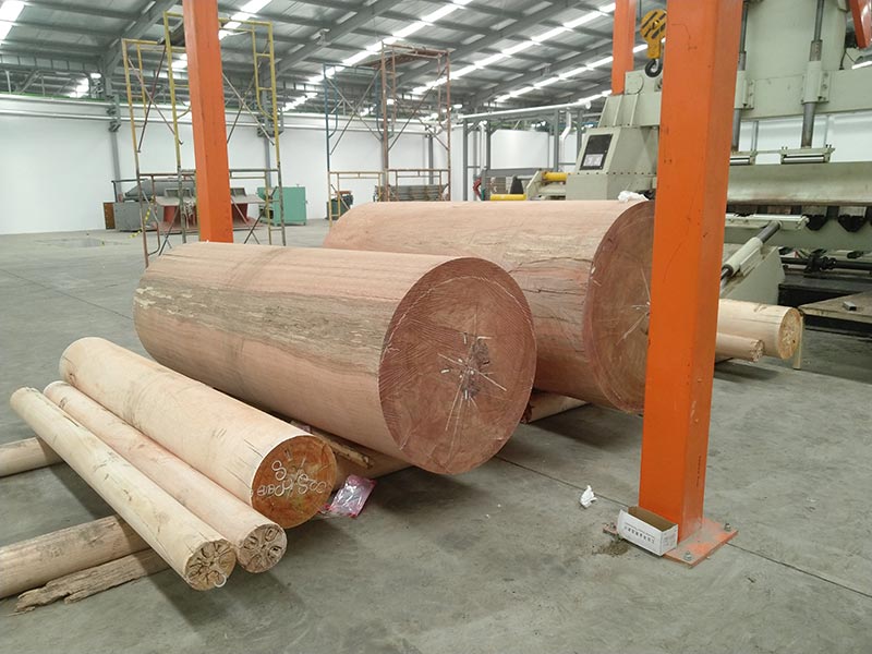 Complete plywood production line established in Surabaya of Indonesia
