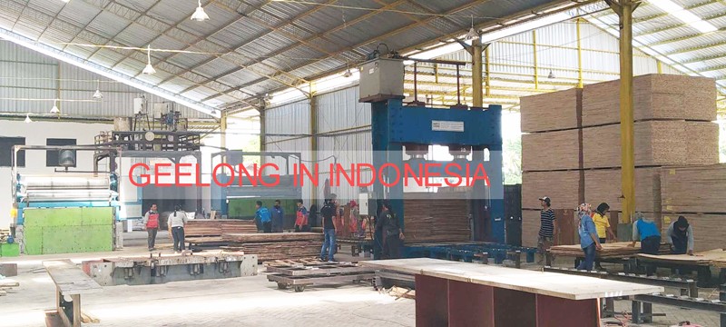GEELONG plywood machine in Indonesia