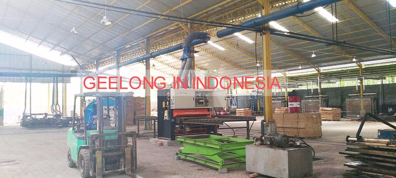 GEELONG plywood machine in Indonesia