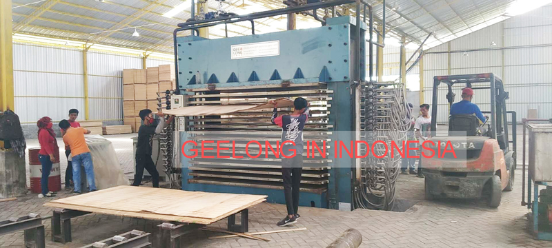 GEELONG plywood machine in Indonesia