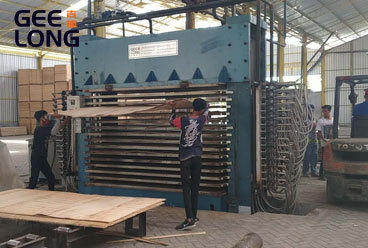 GEELONG plywood machine in Indonesia