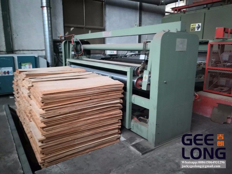 china GEELONG continuous veneer dryer machine